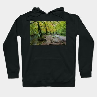 Autumn Golitha falls walk Hoodie